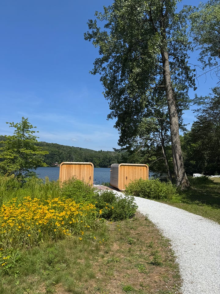 Pine cabins on a lake.