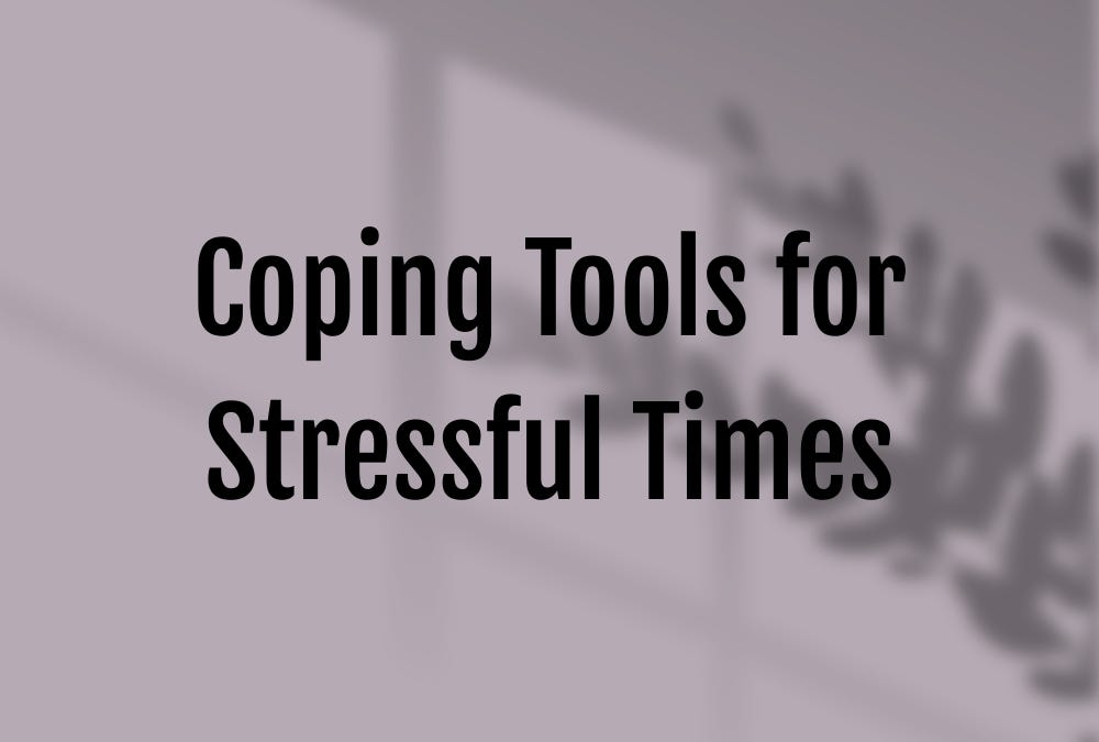 Coping Fream 8 Coping Tools for Stressful Times - by Dani Bruflodt