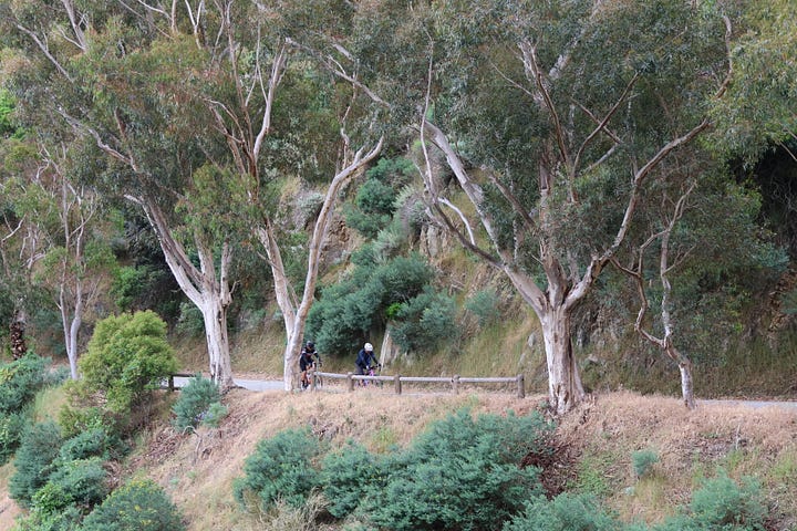 Cyclists climbing up a steep road and reaching a vista point at the top of the climb