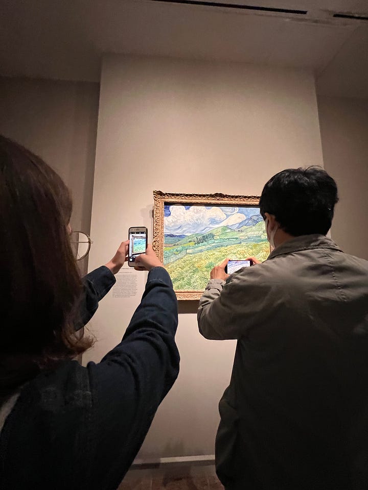 Van Gogh's Cypresses Photos of Paintings