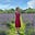 Jane Ebel's avatar