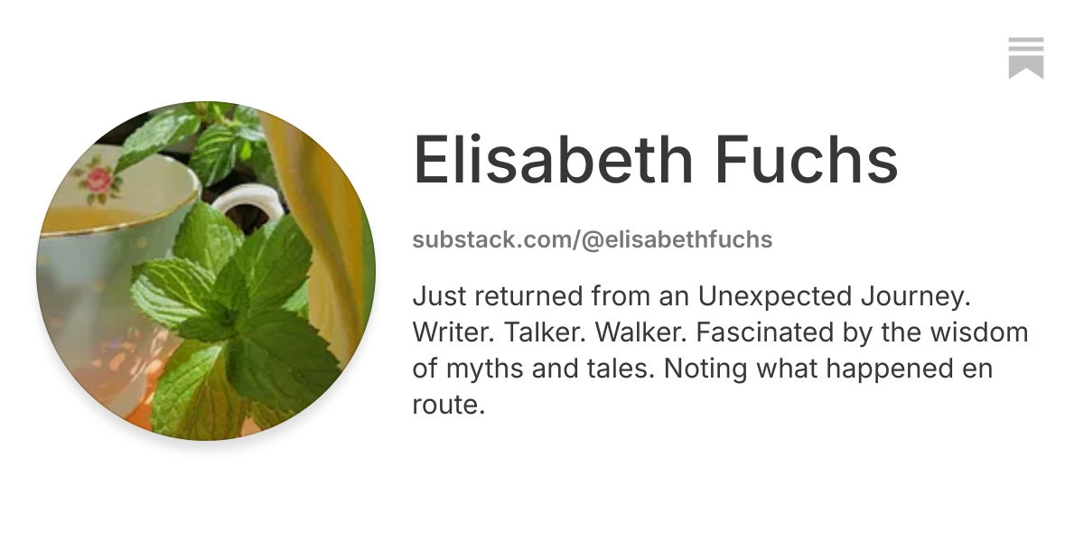 Elisabeth Fuchs | Substack