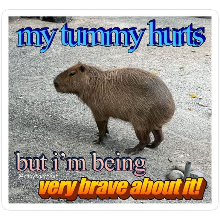 My Tummy Hurts, But I'm Being Brave Capybara Meme Sticker