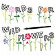 Words For Wildflowers