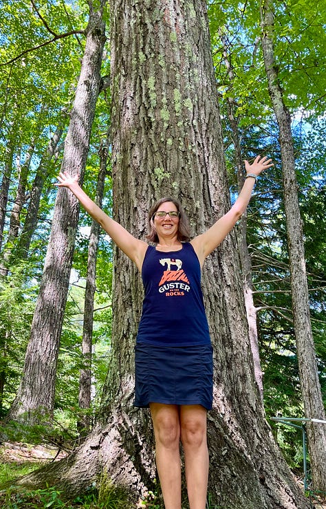 Oak trees - one that just sprouted to a large oak
