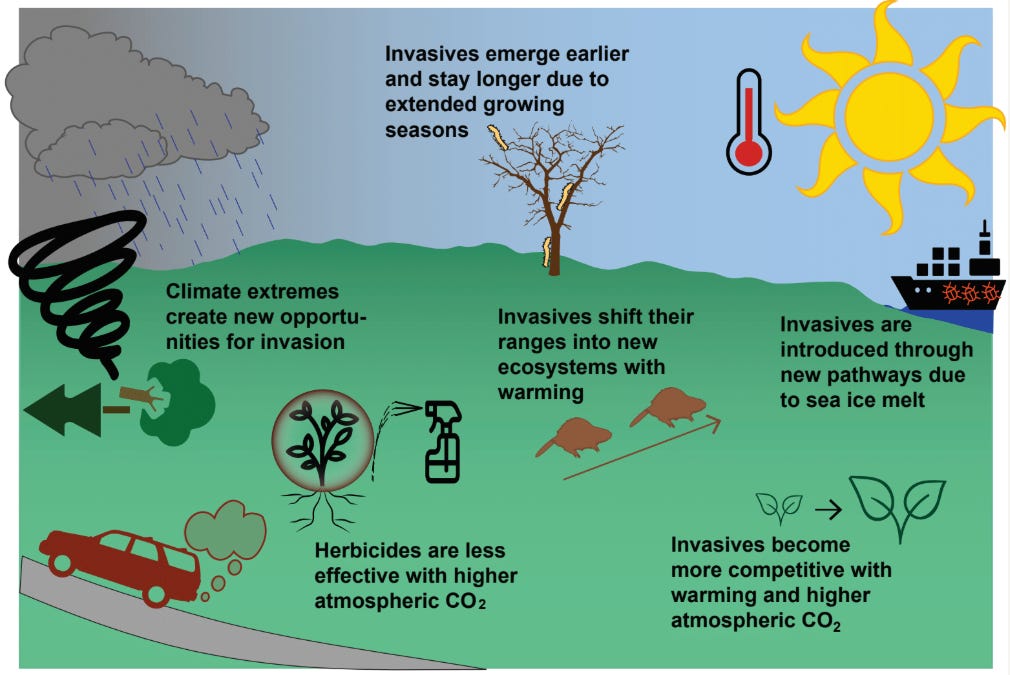 Invasive Species and Climate Change Week