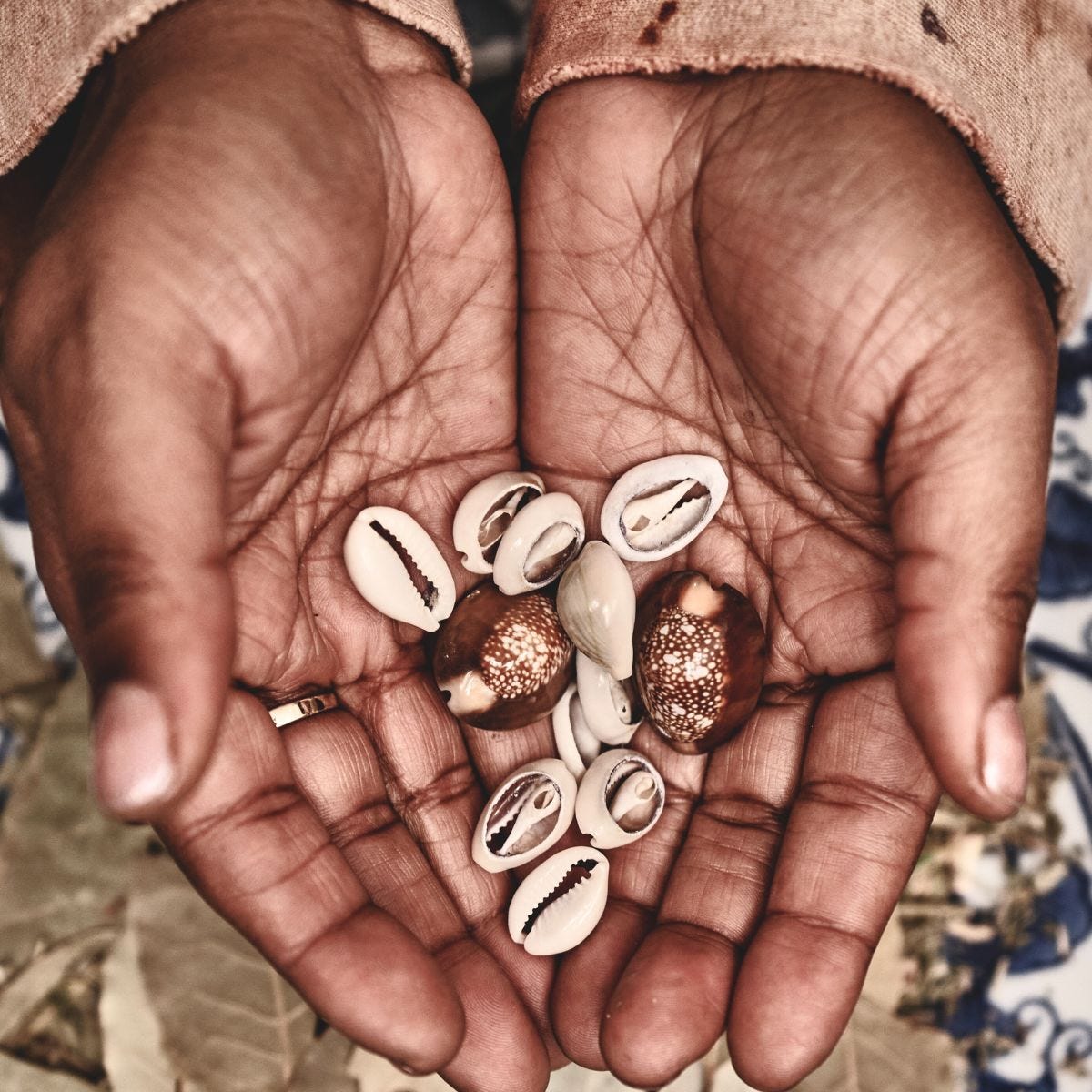 Cowrie Shells: History & Meaning – GEMNIA
