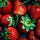 Tsundoku and Strawberries