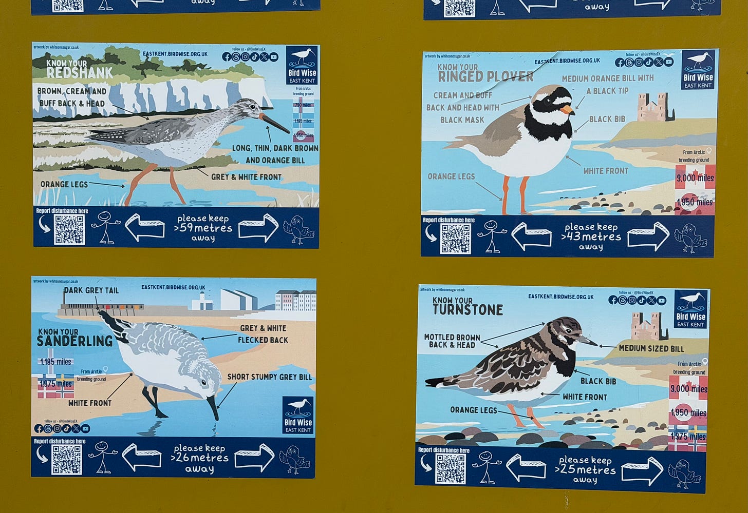 A sign illustrating species of birds, and how far away you should keep from them: eg 59 metres, 26 metres, 25 metres.