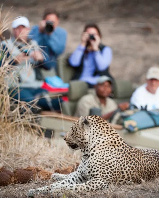 May be an image of 5 people, cheetah and big cat