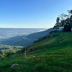 Parawaiting and Patience