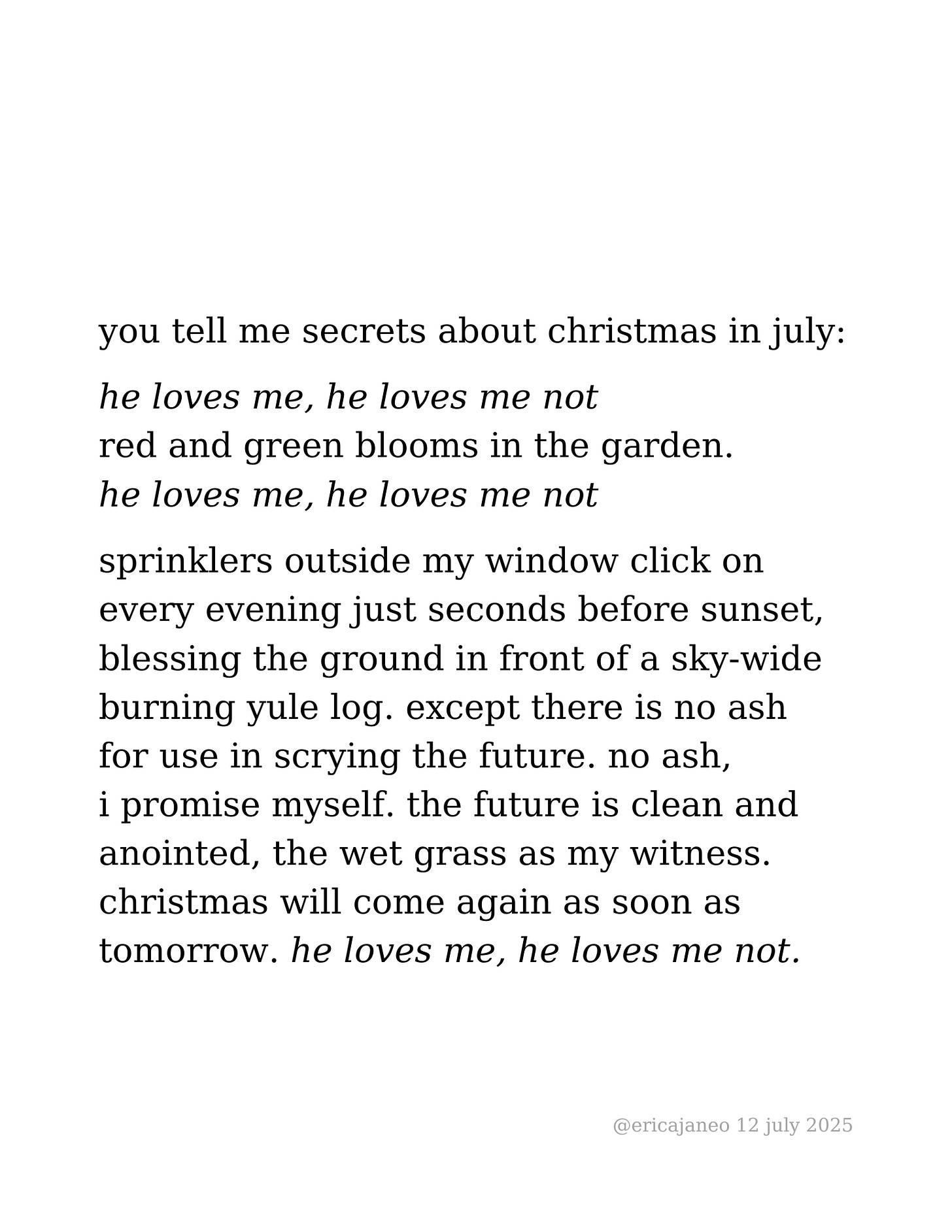 you tell me secrets about christmas in july:   he loves me, he loves me not  red and green blooms in the garden.  he loves me, he loves me not  sprinklers outside my window click on  every evening just seconds before sunset, blessing the ground in front of a sky-wide burning yule log. except there is no ash for use in scrying the future. no ash,  i promise myself. the future is clean and anointed, the wet grass as my witness.  christmas will come again as soon as  tomorrow. he loves me, he loves me not. 