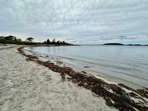 Beach, rocky coast, van at waterfront campsite