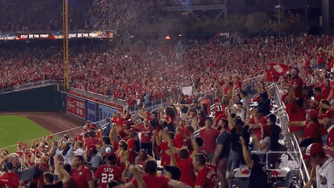 Crowd Goes Wild GIFs - Get the best GIF on GIPHY