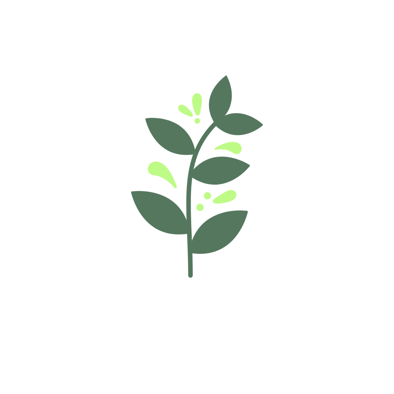 Wild Food • Wild Medicine • Wild You