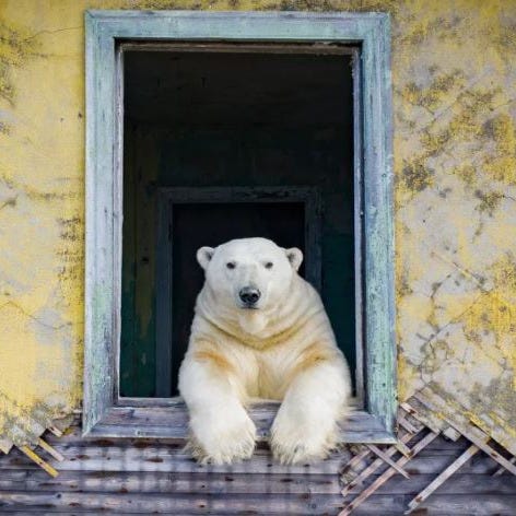 Top of the World News