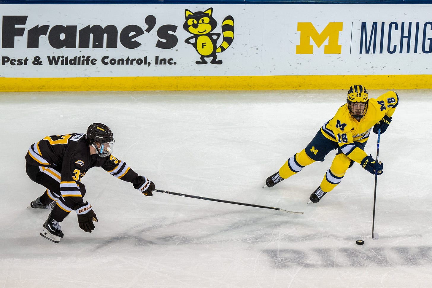 Jayden Perron finding his scoring rhythm at Michigan