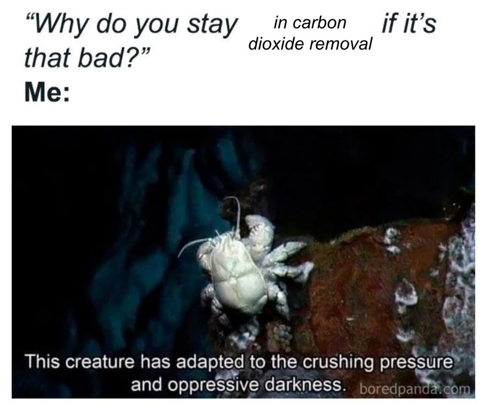"'Why do you stay in carbon dioxide removal if it's that bad?' Me:" above a white deep-sea crab on a dark rock, with the caption "This creature has adapted to the crushing pressure and oppressive darkness."