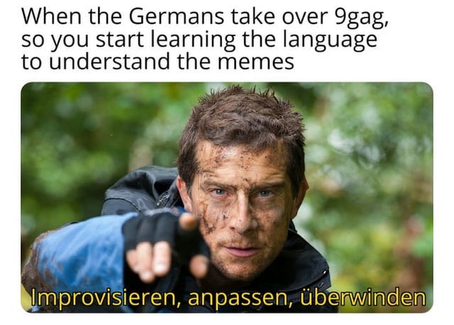 I'm gonna delete this, and repost it every time a German corrects me. After  a while, I'll have a meme with perfect grammar. : Second Language Strategies