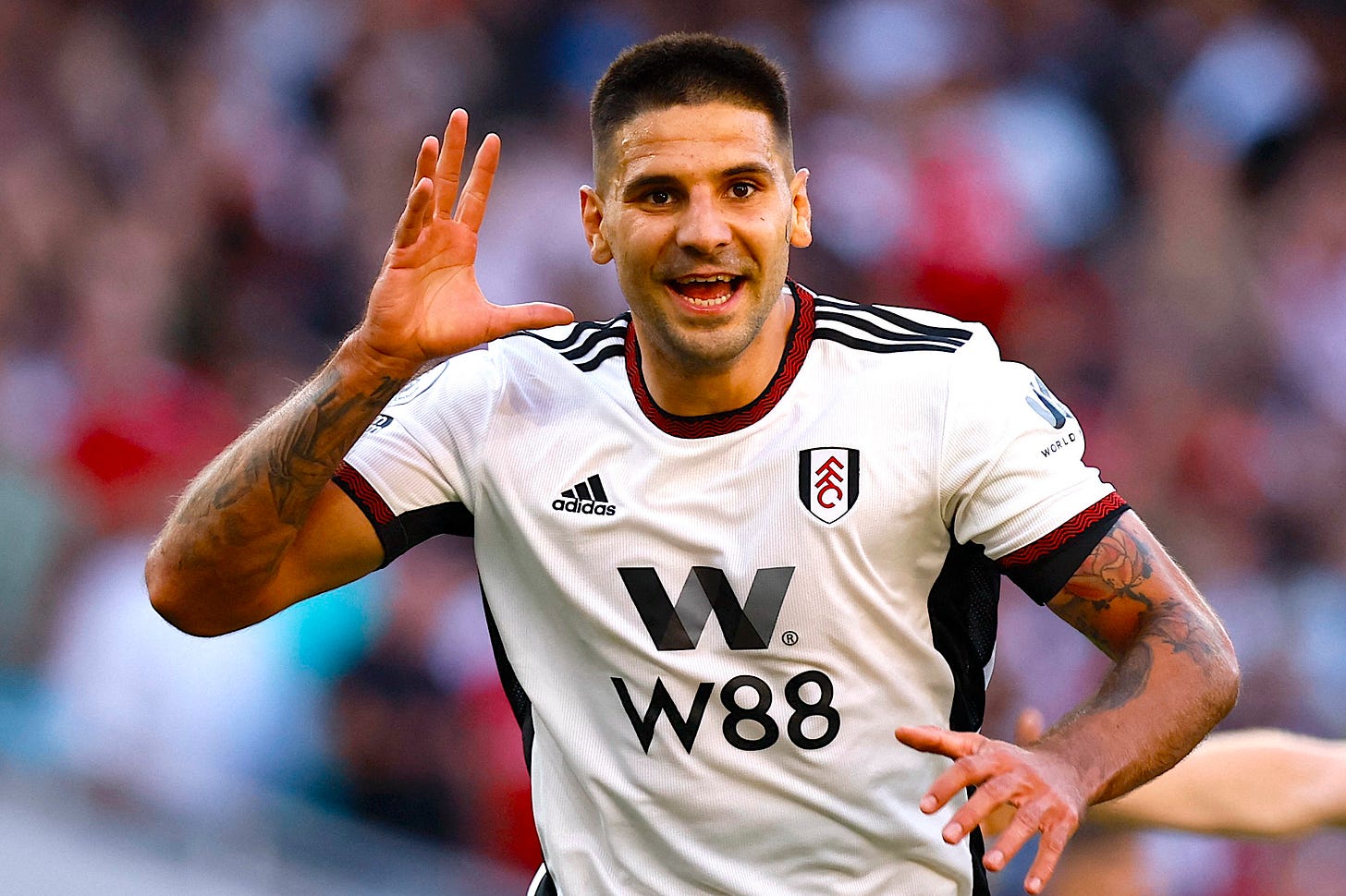 GW7 Ones to watch: Aleksandar Mitrovic