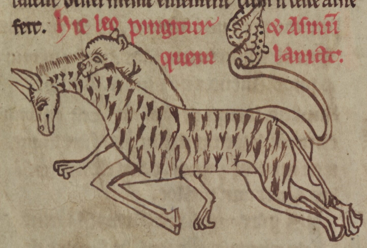 Medieval Bestiary : Beasts : Giraffe
