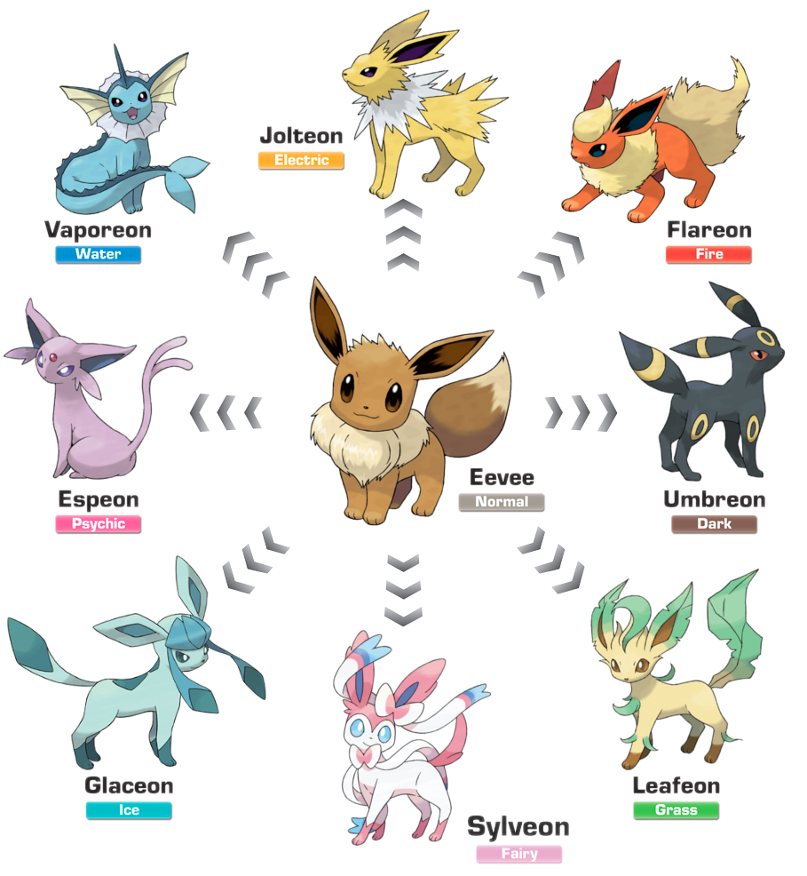 Eeveelution - Bulbapedia, the community-driven Pokémon encyclopedia Eeveelution - Bulbapedia, the community-driven Pokémon encyclopedia
