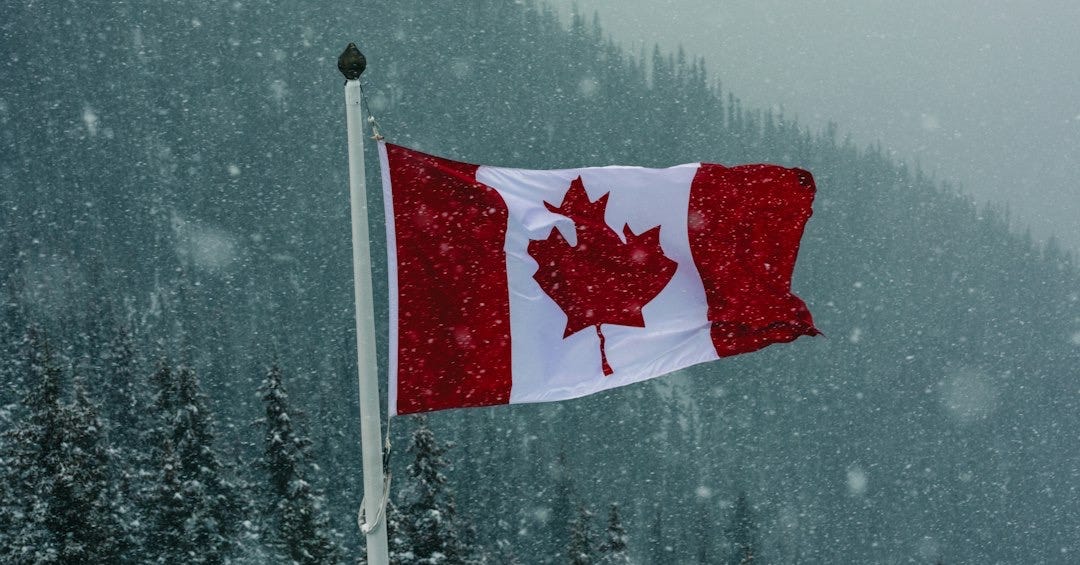 a canadian flag on a pole in the snow a canadian flag on a pole in the snow
