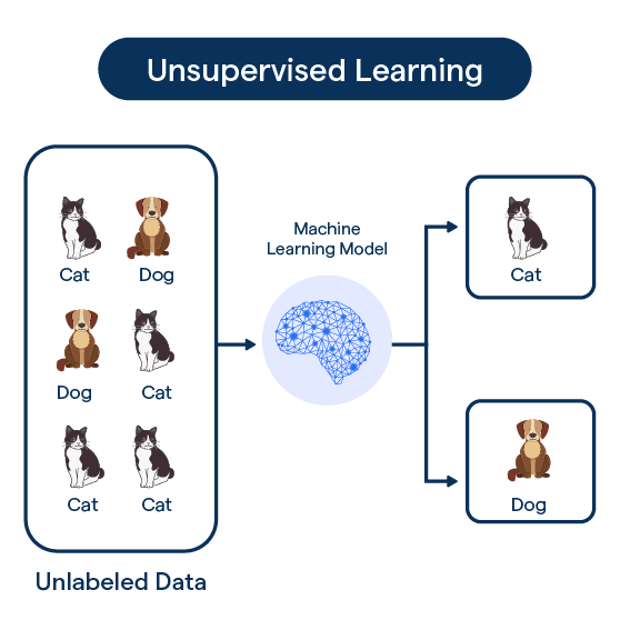 Unsupervised Learning