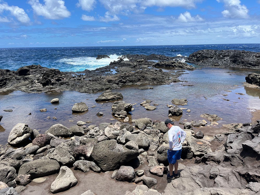 Olivine Pools in Maui