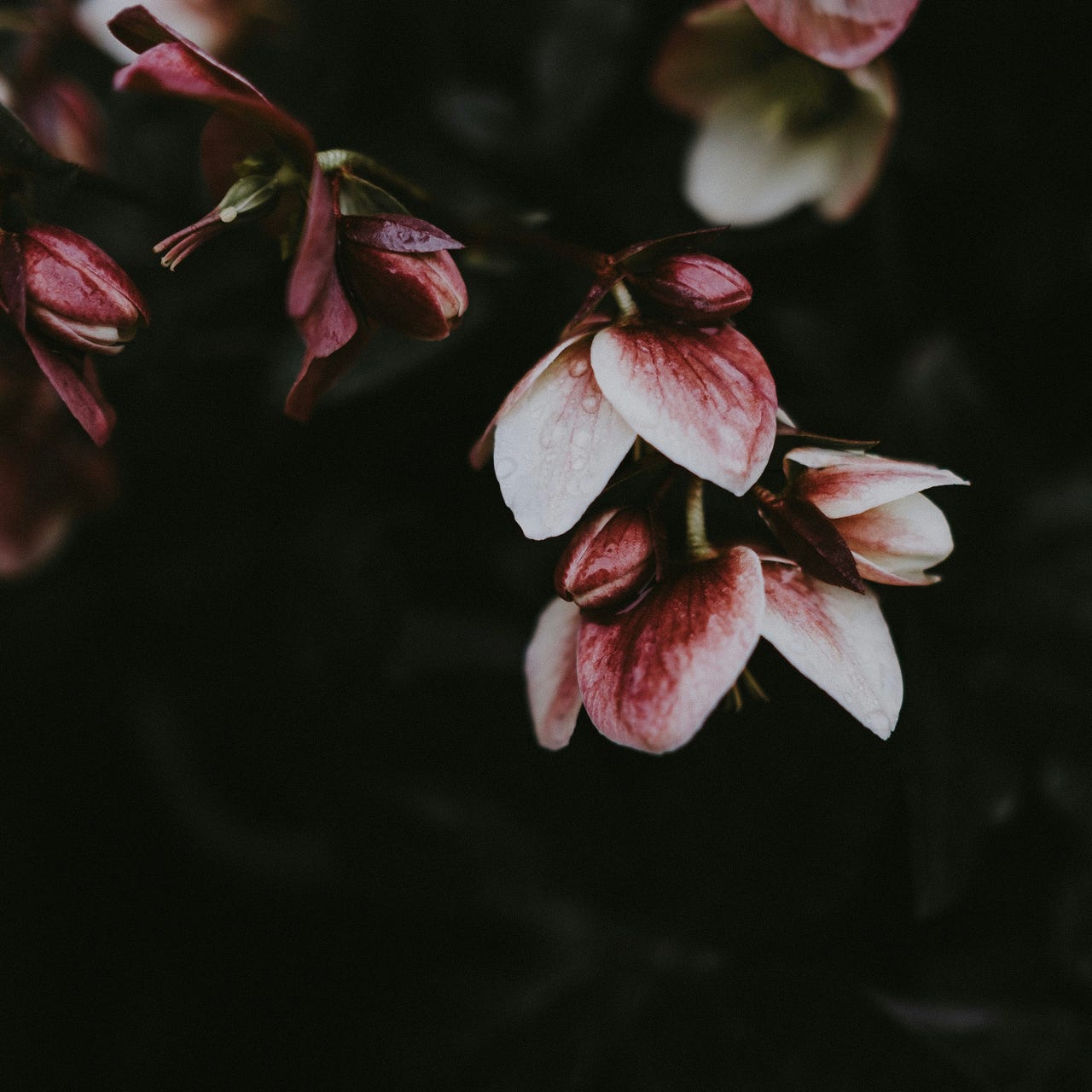 Fragments of my Mind