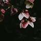 Fragments of my Mind