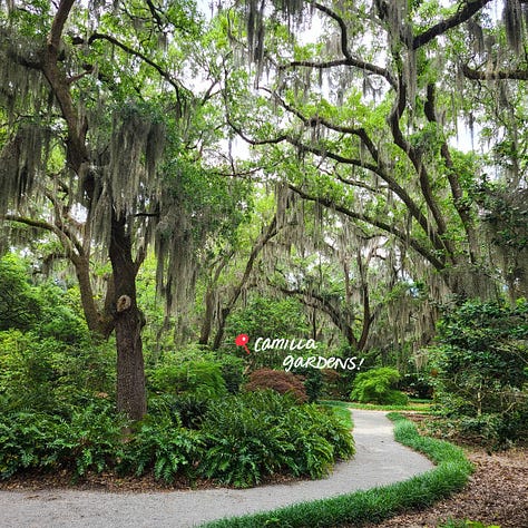 Airlie Gardens Wilmington NC scenes