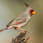 Something to Believe In