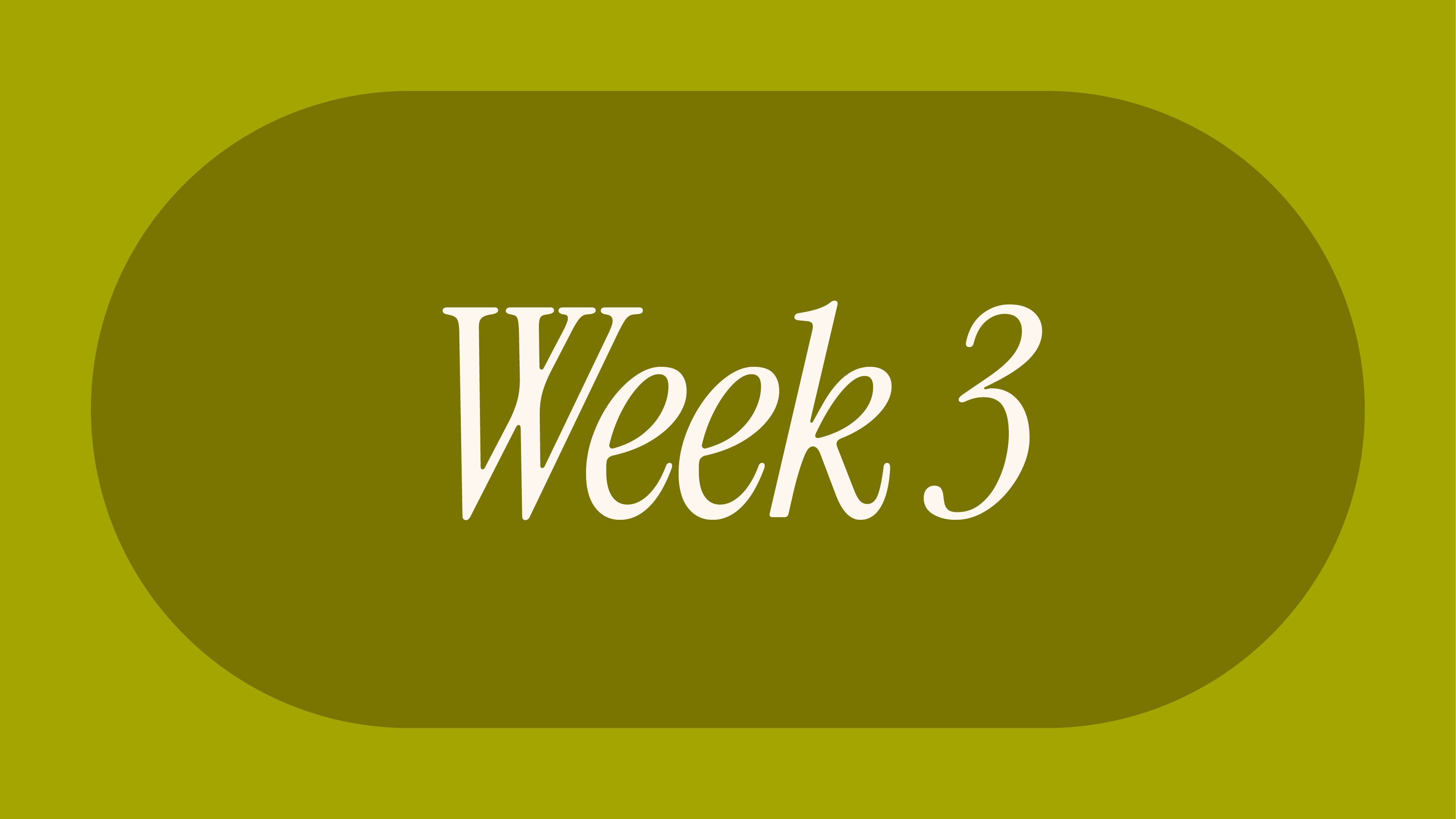 Transvorm Magazine november 2024 by Transvorm - Issuu, image size:3334x1875