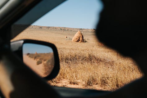 Outback Australiano