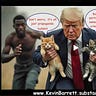 Kevin’s Newsletter