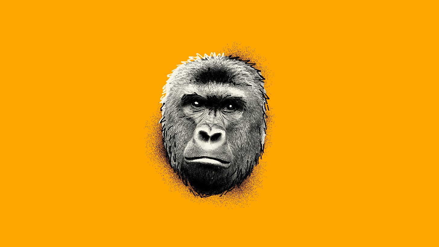 Harambe, a gorilla who became a populist symbol. (Illustration by Shannon Loys.)