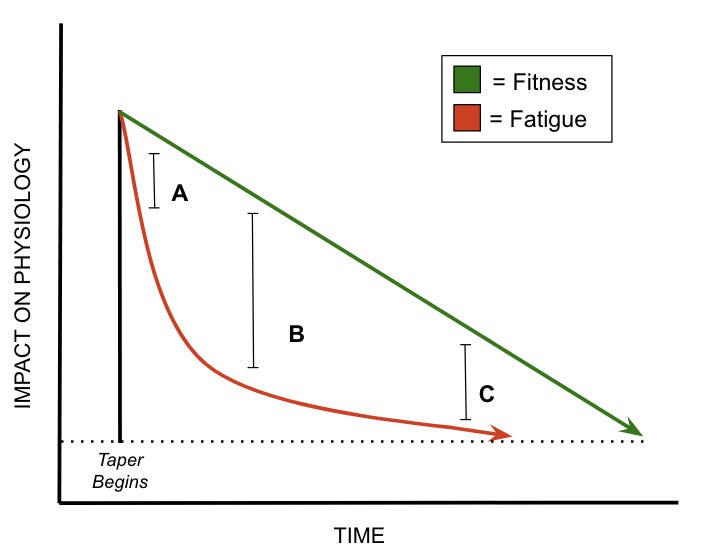 The Science of A Taper - by Alex Ostberg