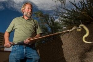 Steve Mackessy, Ph.D.