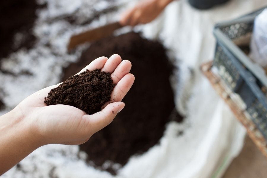 peat moss for potting mix
