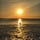 Words to Find The Shore