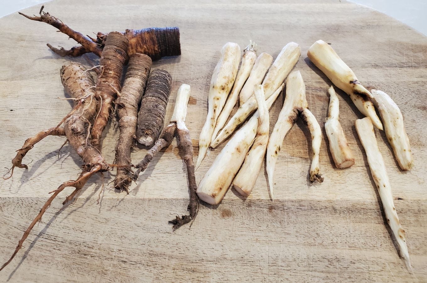Tragopogon porrifolius [washed, peeled & unpeeled] 20221202_105759 sml.jpg