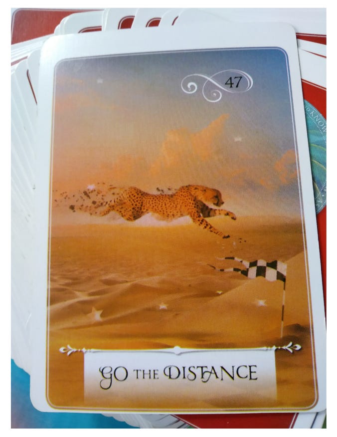 A Message from the Universe - Go the Distance (reversed) A Message from the Universe - Go the Distance (reversed)