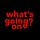 WHAT'S GOING ON?