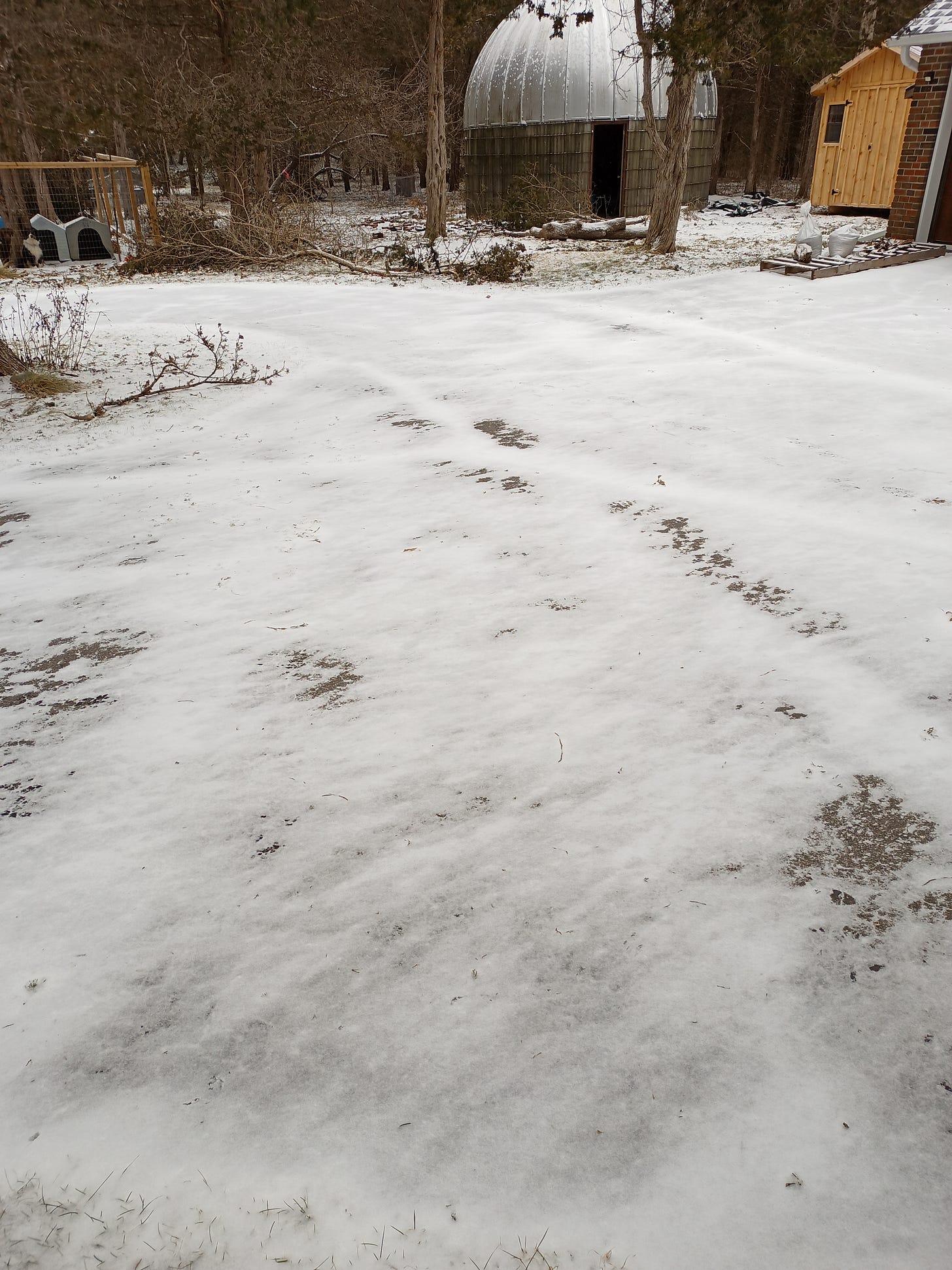 An asphalt driveway covered in a thin layer of snow, streaks in the snow indicate the direction of wind, from the lower left to the upper right.