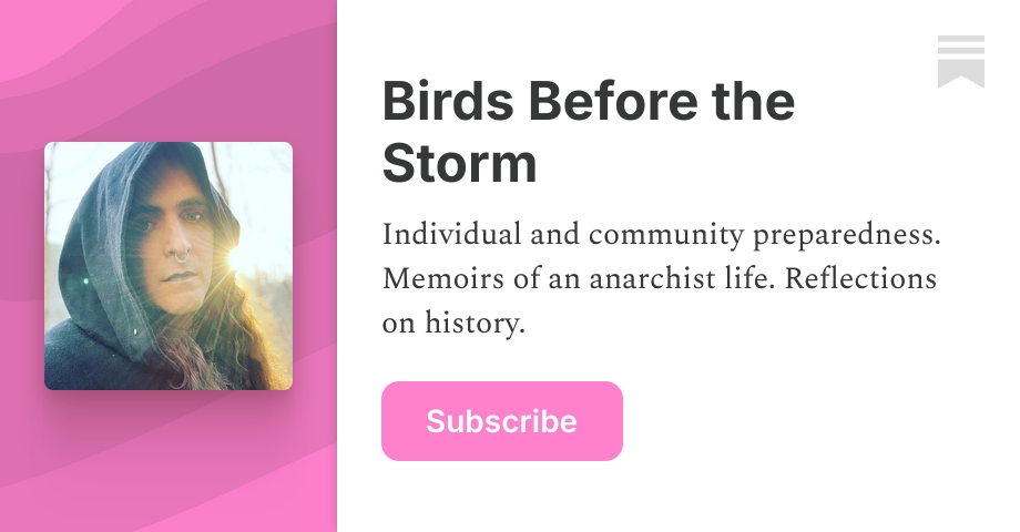 Birds Before the Storm | Margaret Killjoy | Substack