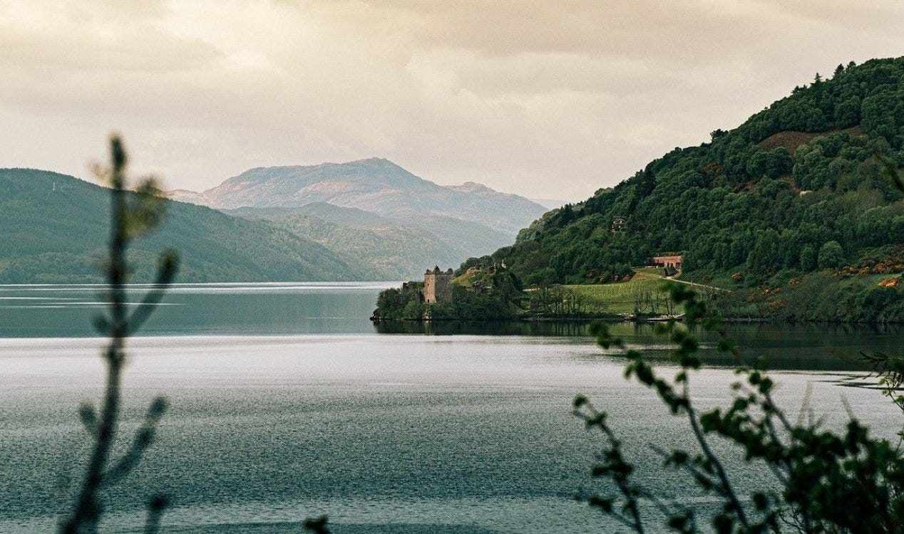 'Monstro do Lago Ness' capturado pela câmera por casal canadense. 'Monstro do Lago Ness' capturado pela câmera por casal canadense.