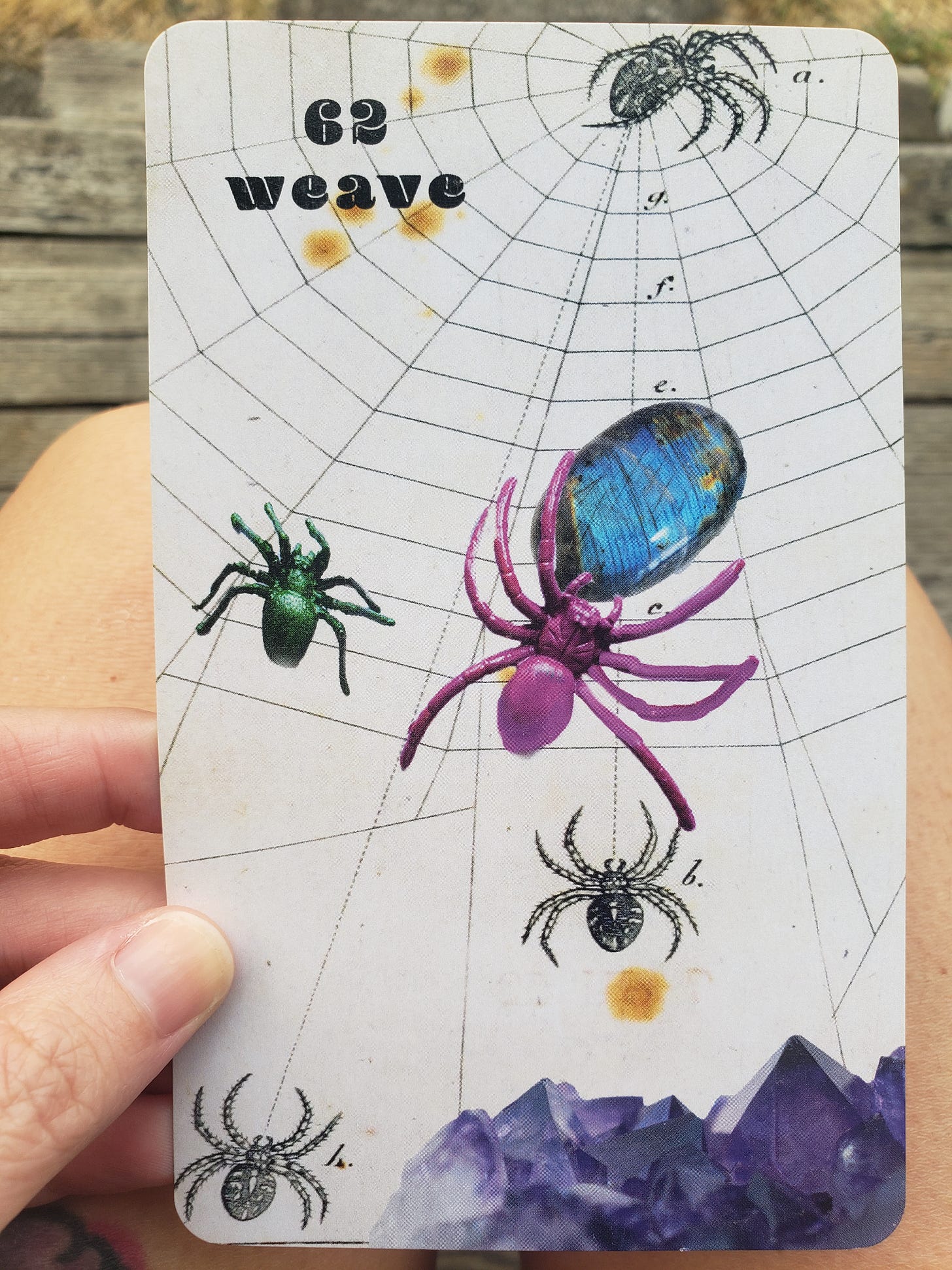 The author holds an oracle card in her hand: Card #62 - "weave": a white background shows a spider's web with 5 spiders throughout, a large purple one in the middle holding a blue gemstone. Some purple crystals are seen in the bottom right corner. Five or so small yellow blotches, and a couple of letters, are subtly strewn about.