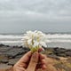 Welcome to Sruthi's little corner of the world!