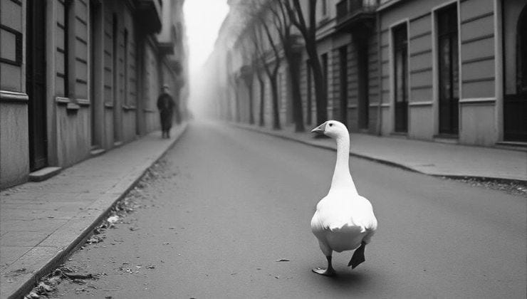 Copia di 740x420 (1)